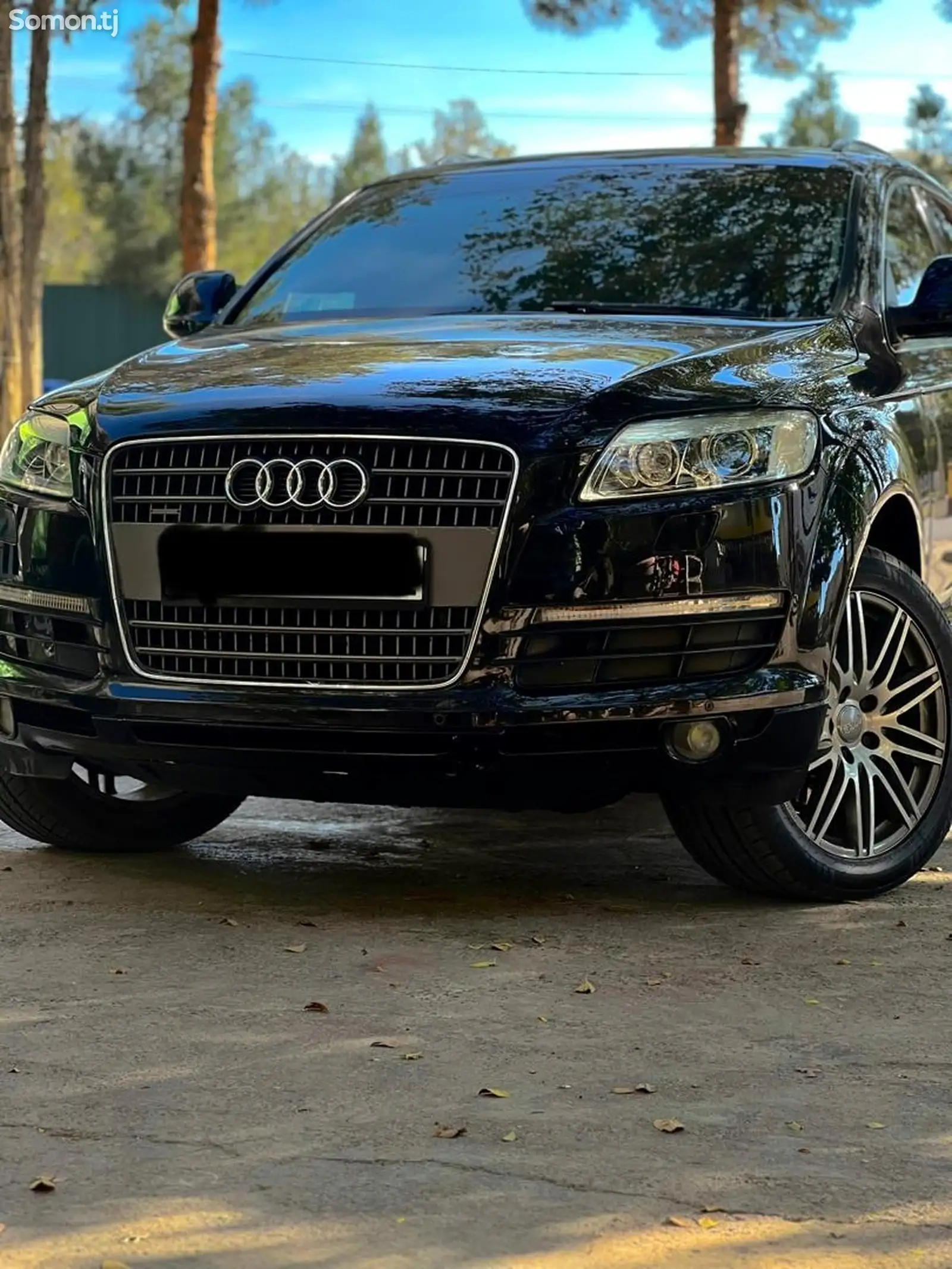 Audi Q7, 2007-4