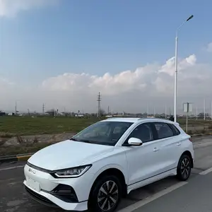 BYD E2, 2024