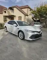 Toyota Camry, 2019-3