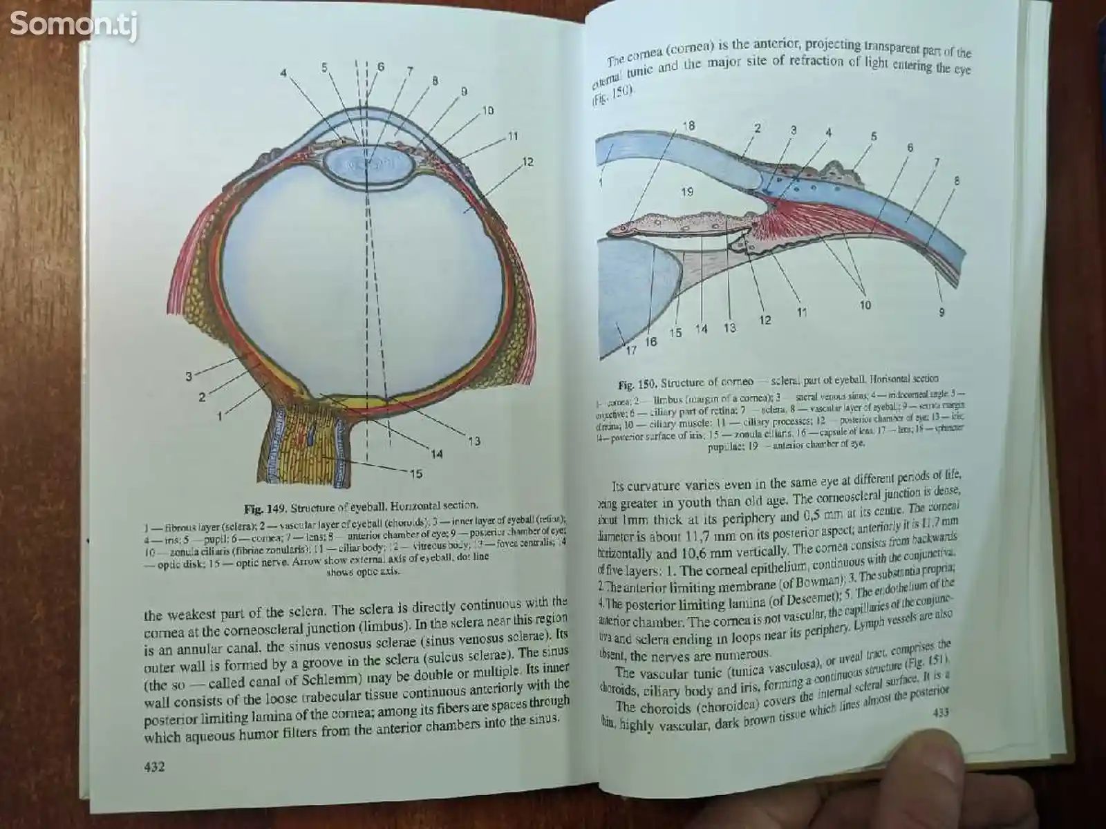 Книга по анатомии человека Textbook of Human Anatomy-12