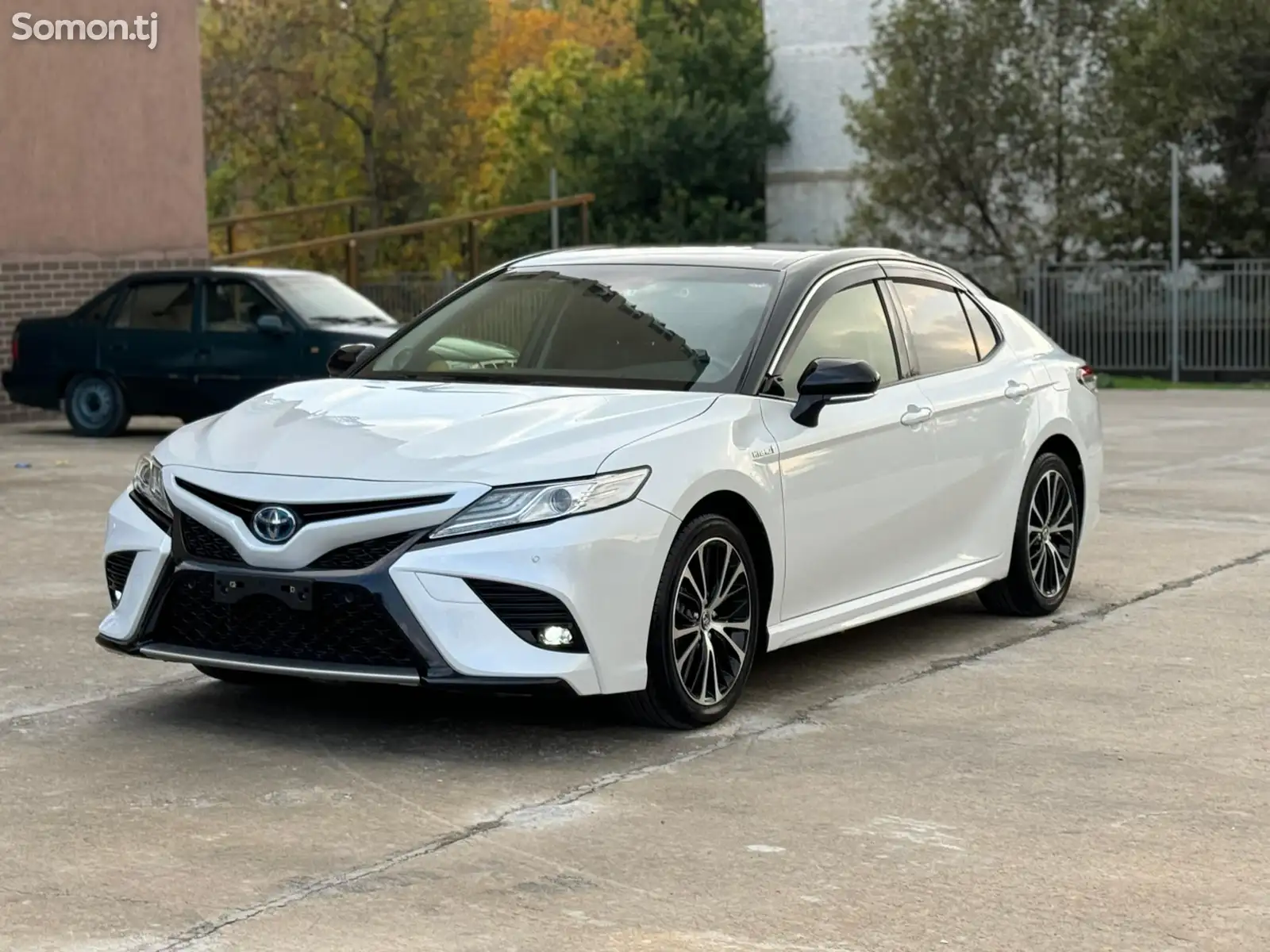 Toyota Camry, 2019-3