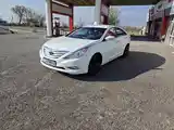 Hyundai Sonata, 2010-3