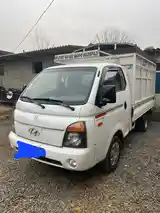 Бортовой автомобиль Hyundai Porter, 2006-2