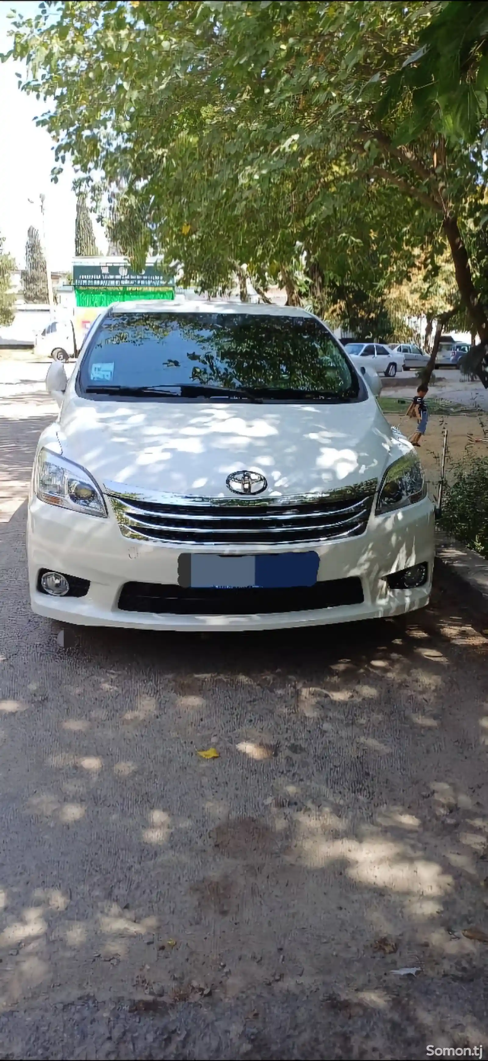 Toyota Mark X ZiO, 2010-1