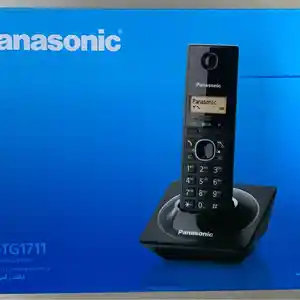 Радиотелефон Panasonic KX-TG-1711