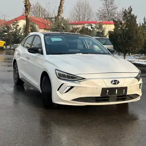 Hyundai Lafesta, 2021