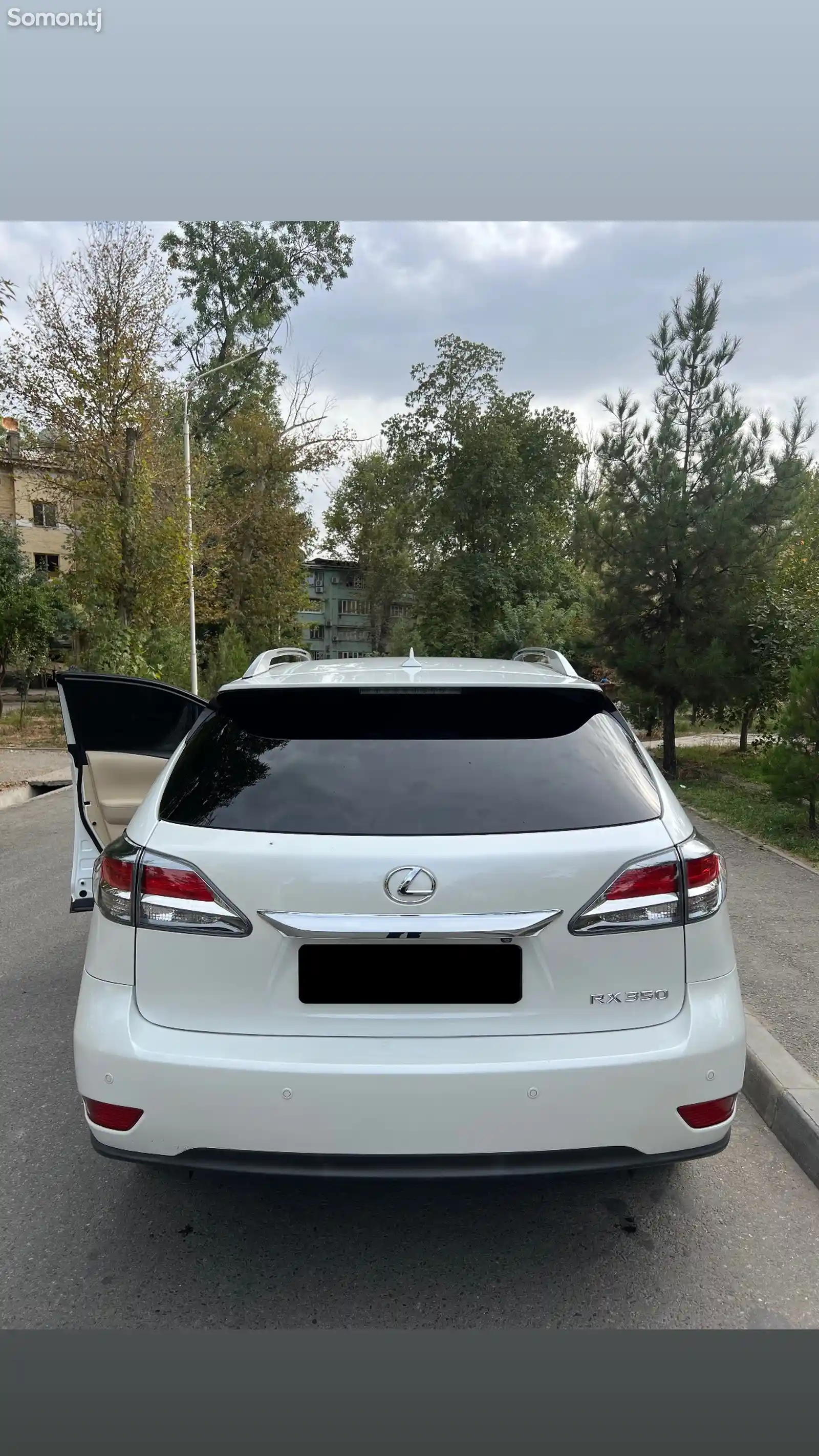 Lexus RX series, 2013-3