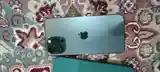 Apple iPhone 13 Pro Max, 256 gb, Alpine Green-3