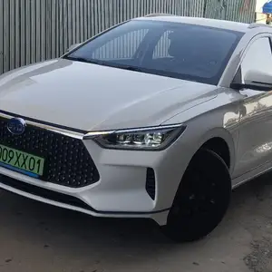 BYD B2, 2020