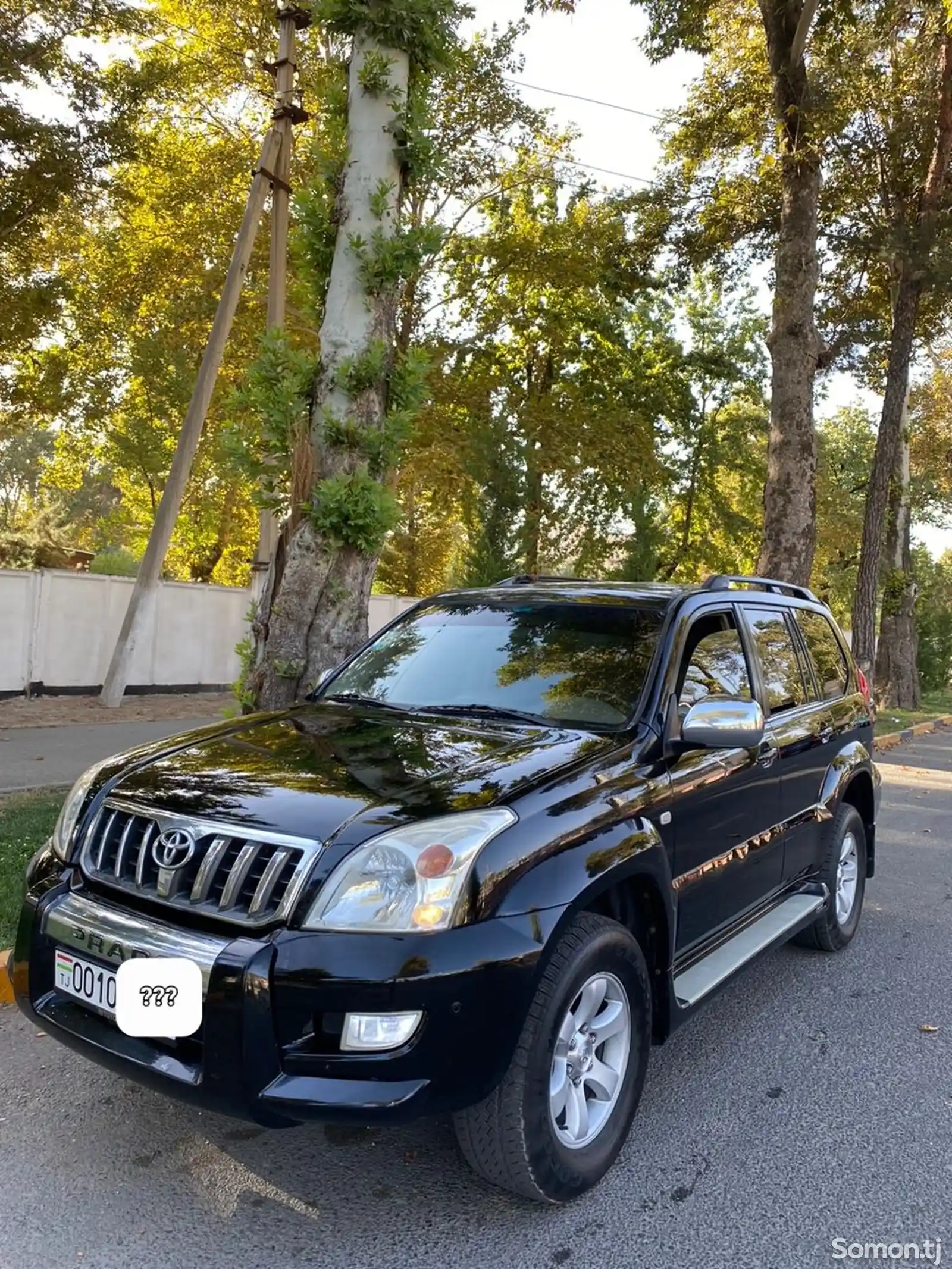 Toyota Land Cruiser Prado, 2009-4