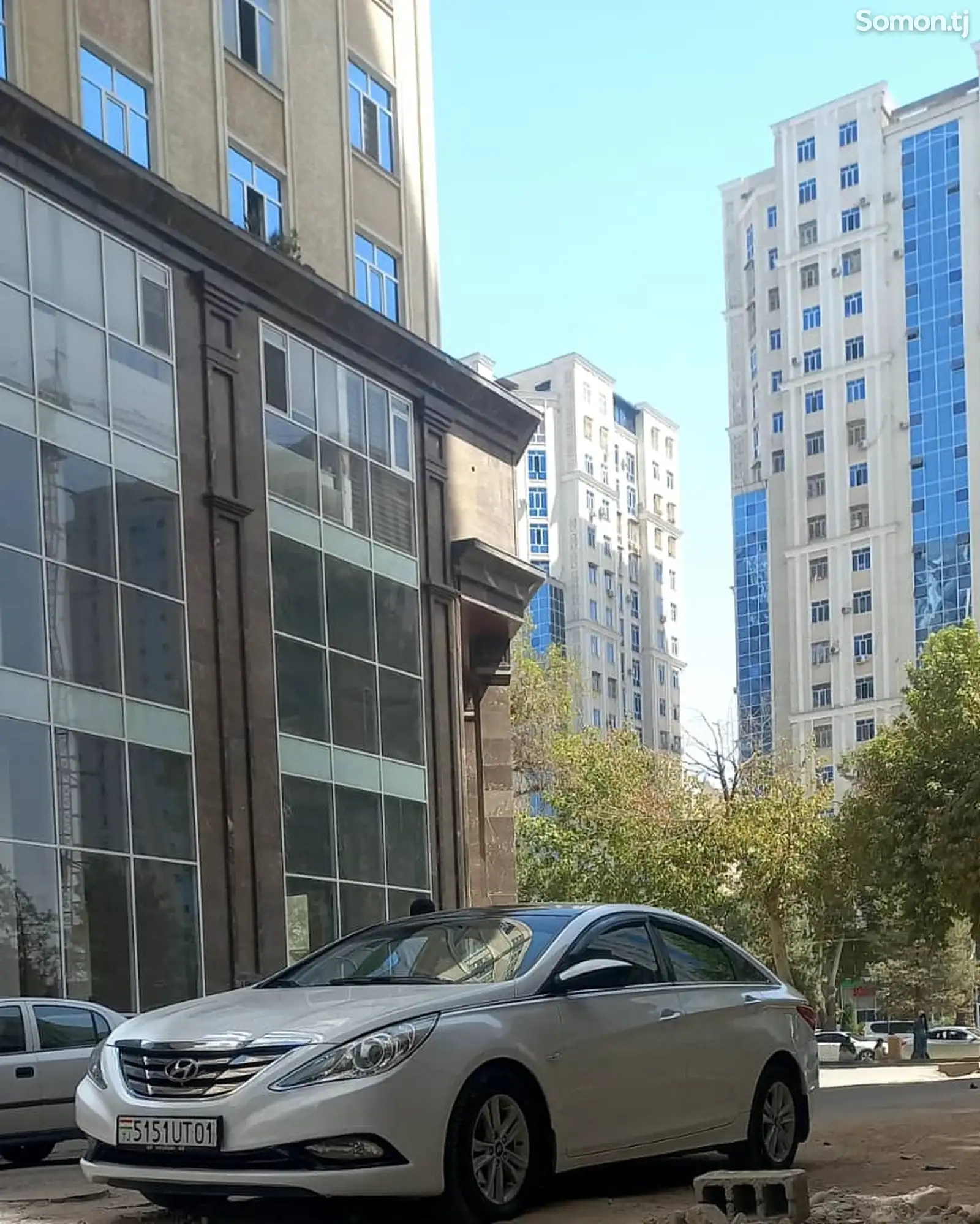 Hyundai Sonata, 2010-1