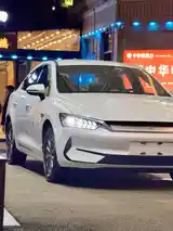 BYD Qin Plus, 2024-8