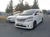 Toyota Vellfire, 2010-5