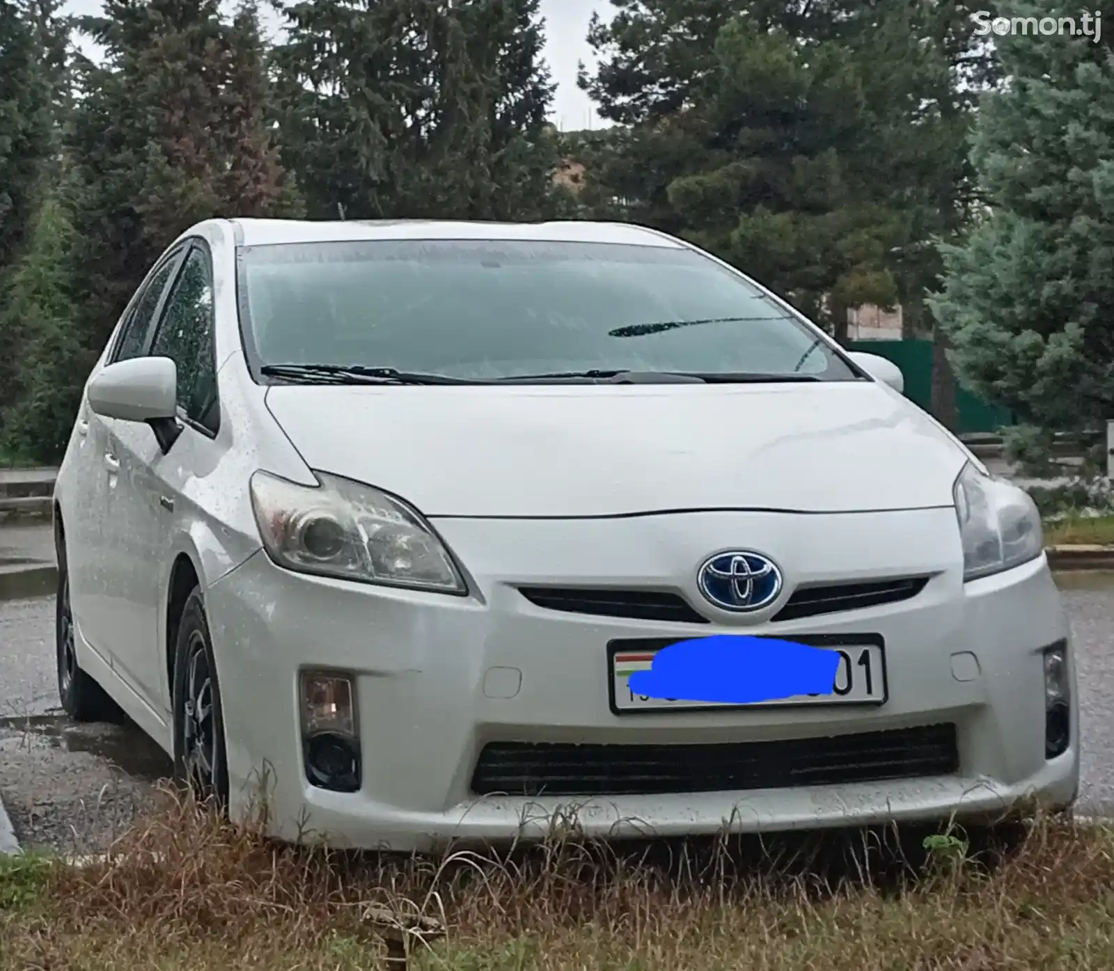 Toyota Prius, 2010-1