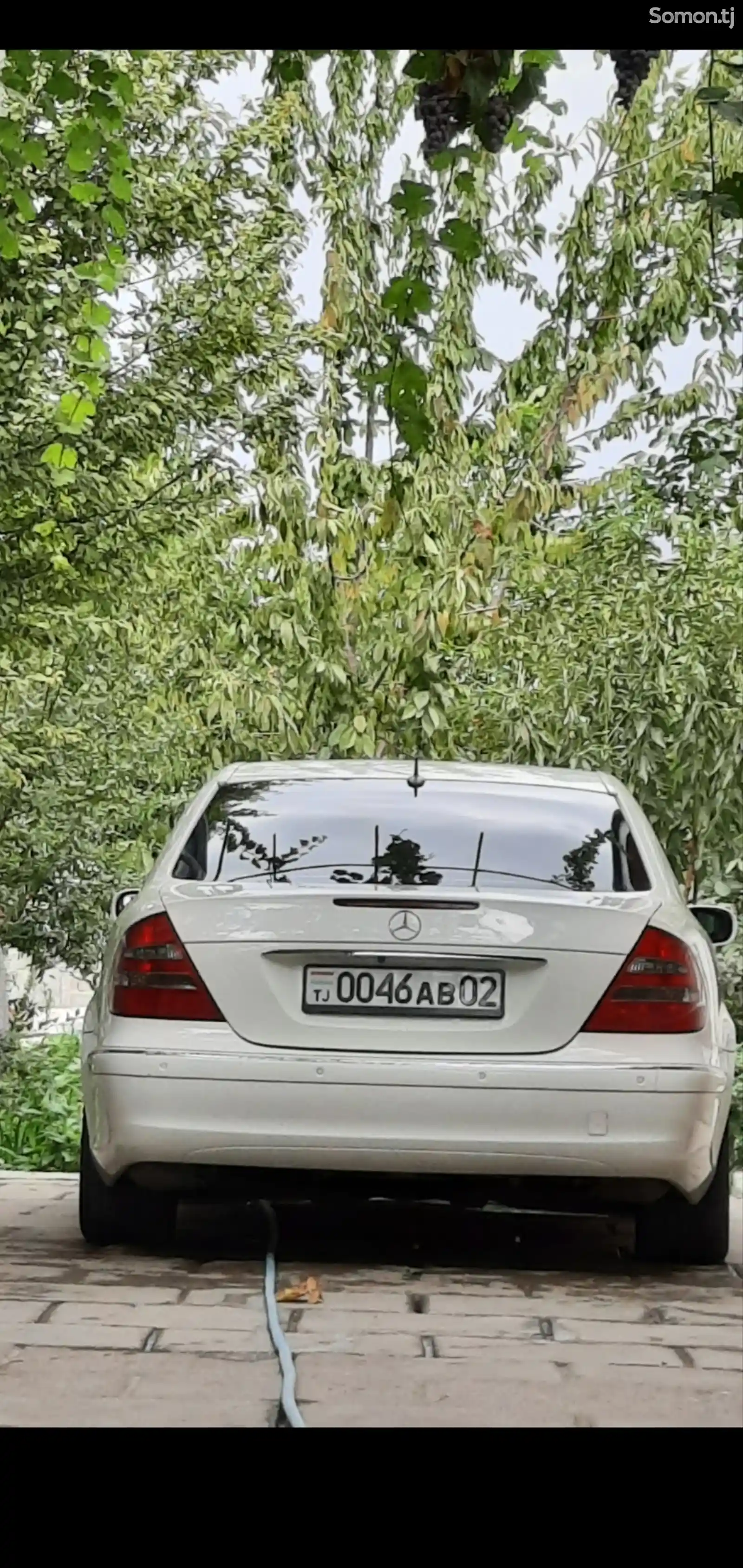 Mercedes-Benz E class, 2004-1