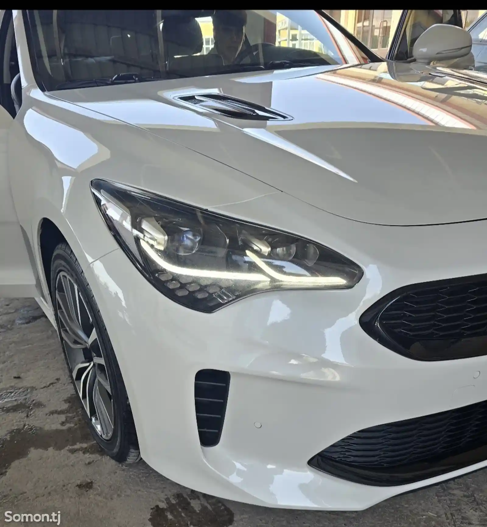 Kia Stinger, 2019-11