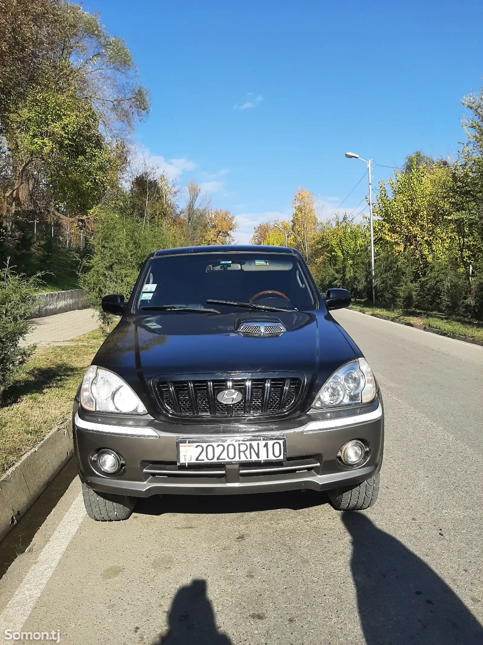 Hyundai Terracan, 2001-1