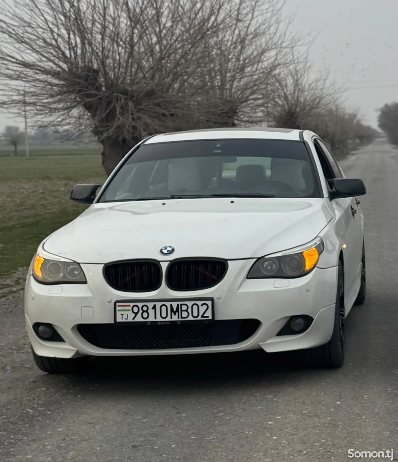 BMW 5 series, 2006-1