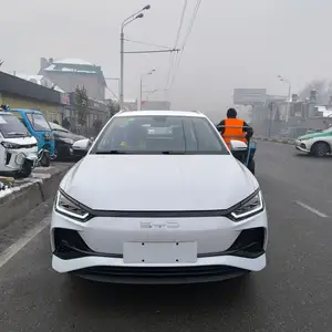 BYD E2, 2024