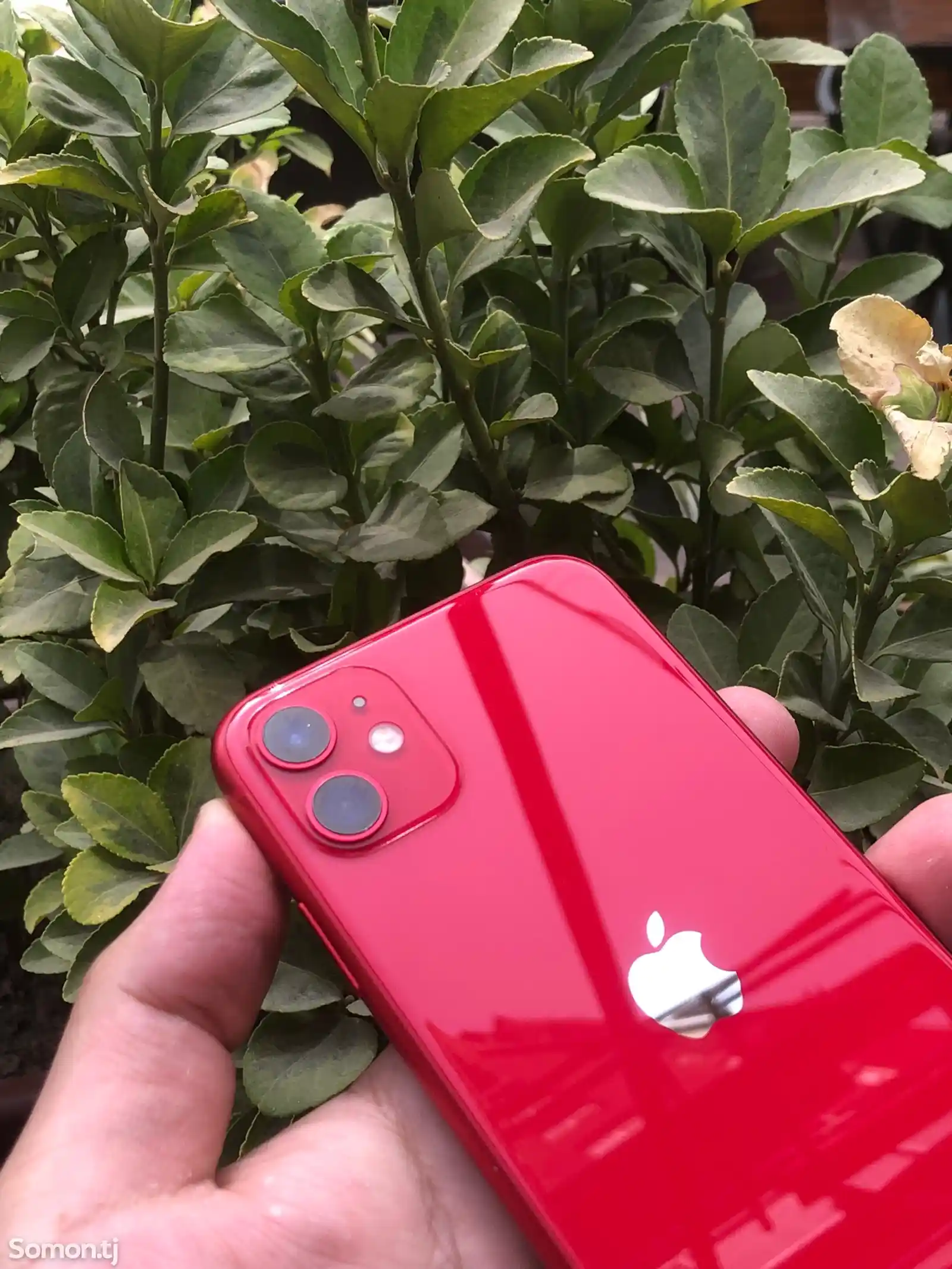 Apple iPhone 11, 128 gb, Product Red-2