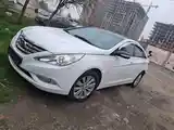 Hyundai Sonata, 2010-7