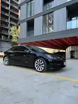 Tesla Model 3, 2020-2