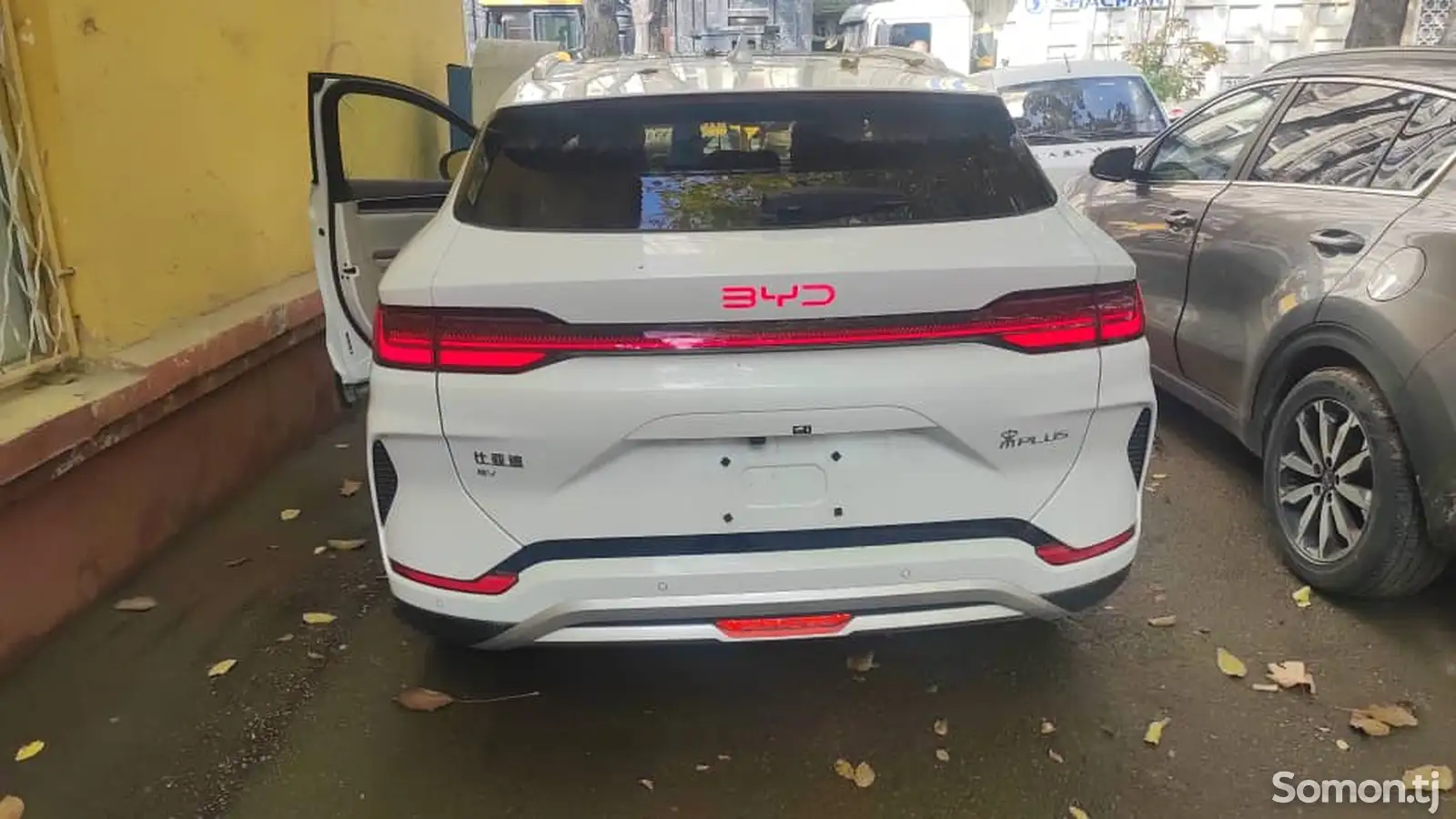 BYD Song Plus Flagship, 2024-1