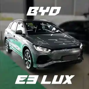 BYD E2, 2024