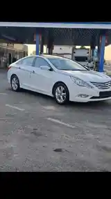 Hyundai Sonata, 2010-4