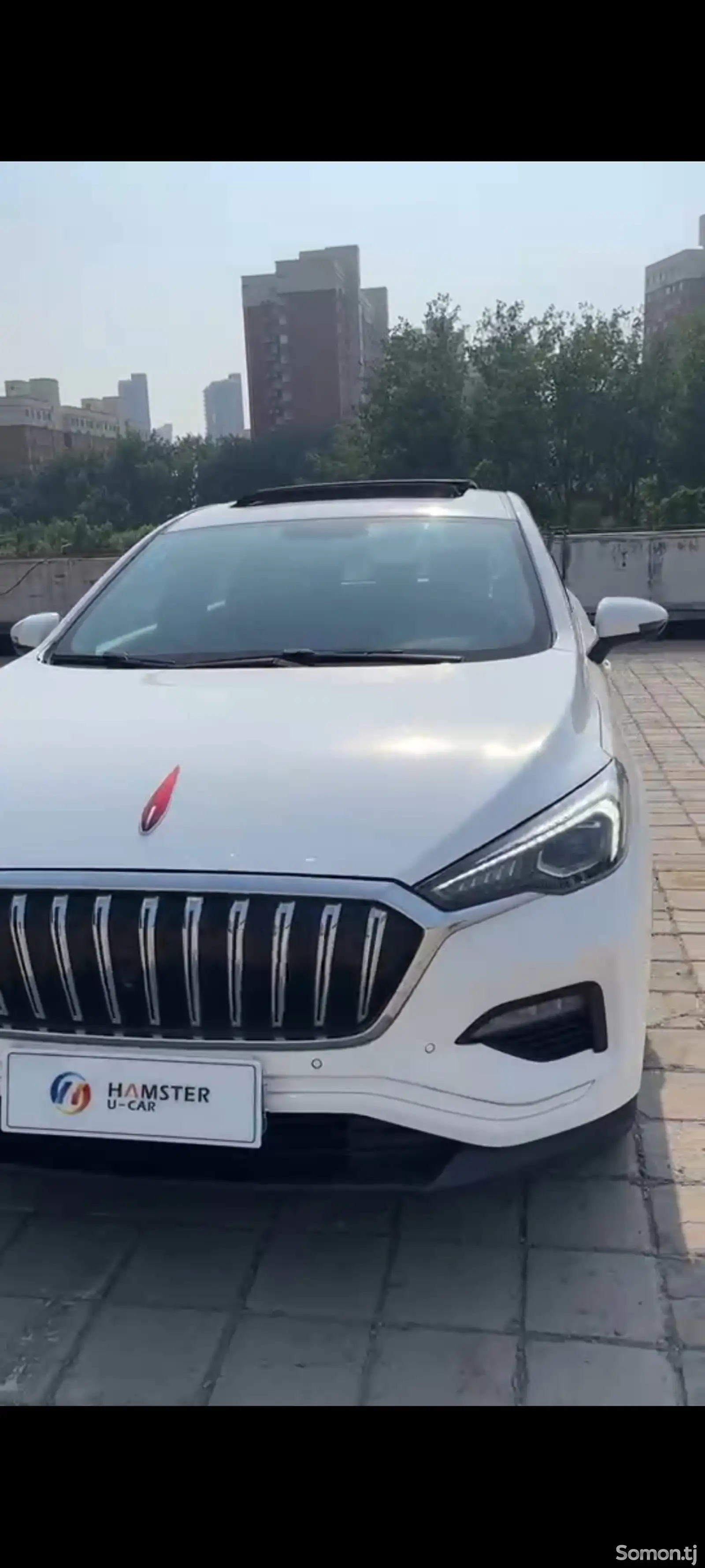 Hongqi HS3, 2019-1