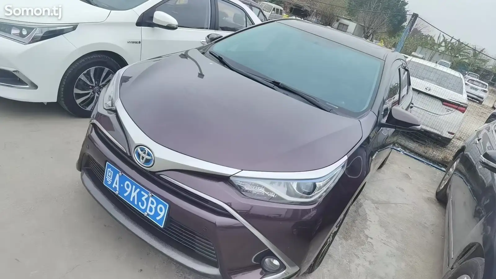 Toyota Corolla, 2019-1