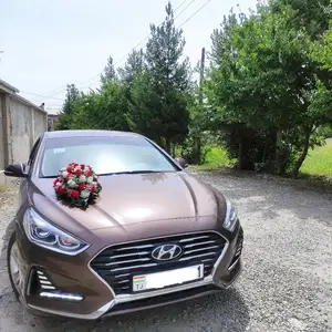 Hyundai Sonata, 2019