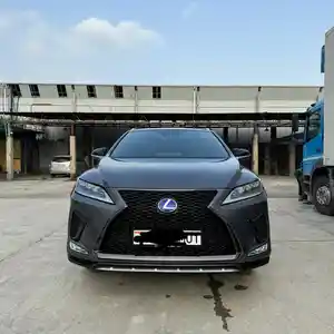 Lexus RX series, 2020