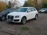 Audi Q5, 2010-10