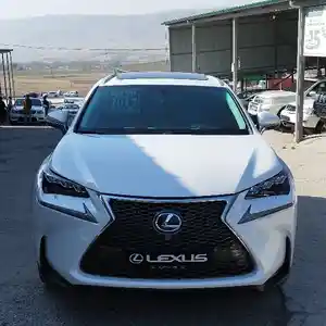 Lexus NX series, 2018