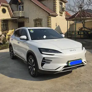 BYD Song Plus Flagship, 2025