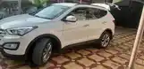 Hyundai Santa Fe, 2014-6