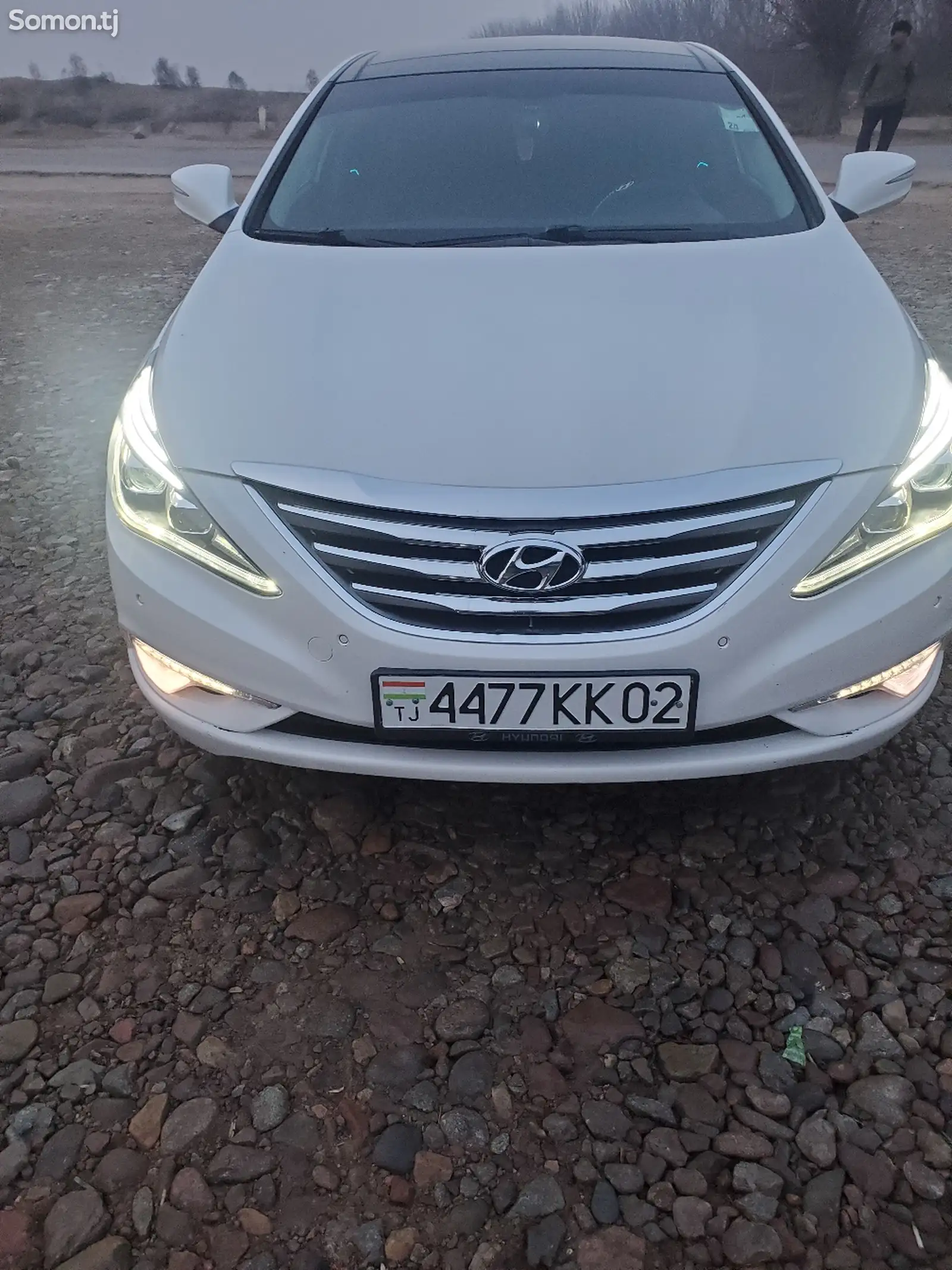 Hyundai Sonata, 2013-1