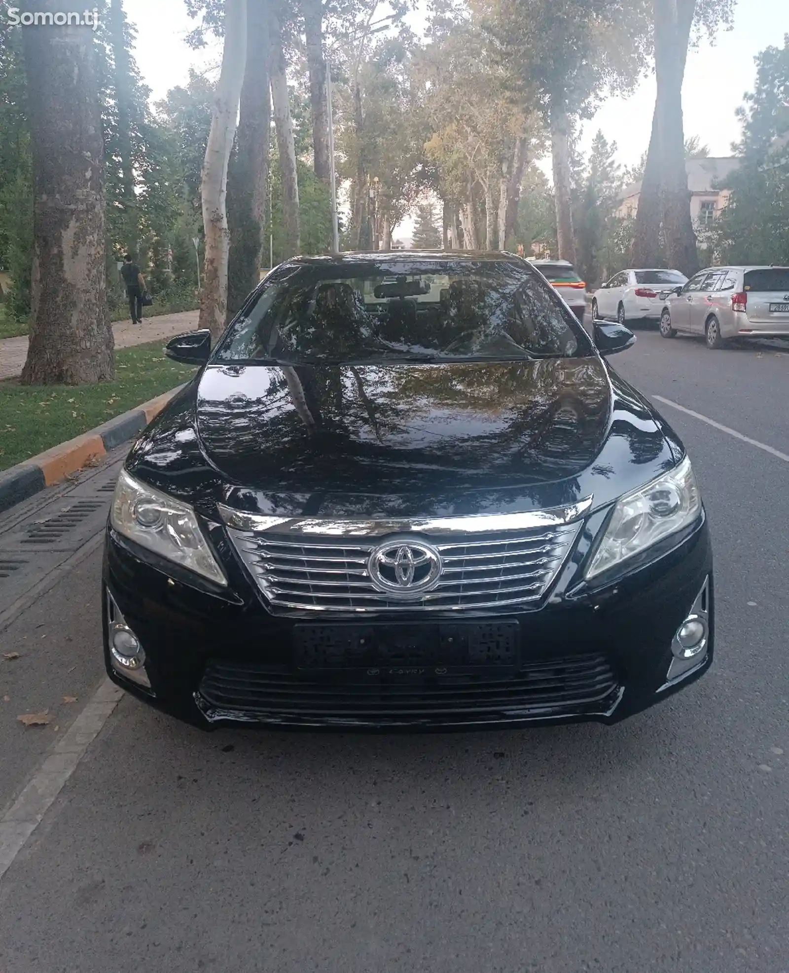 Toyota Camry, 2012-1