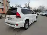 Toyota Land Cruiser Prado, 2007-7