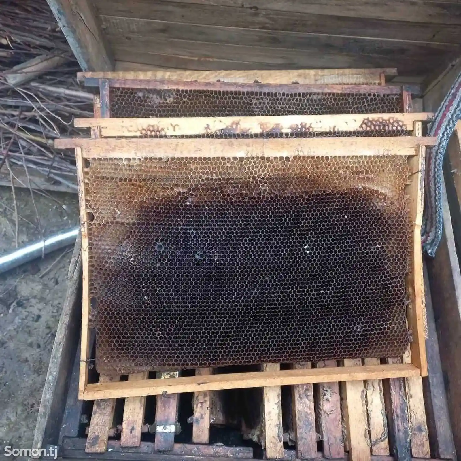 Пчелиная рамка-1