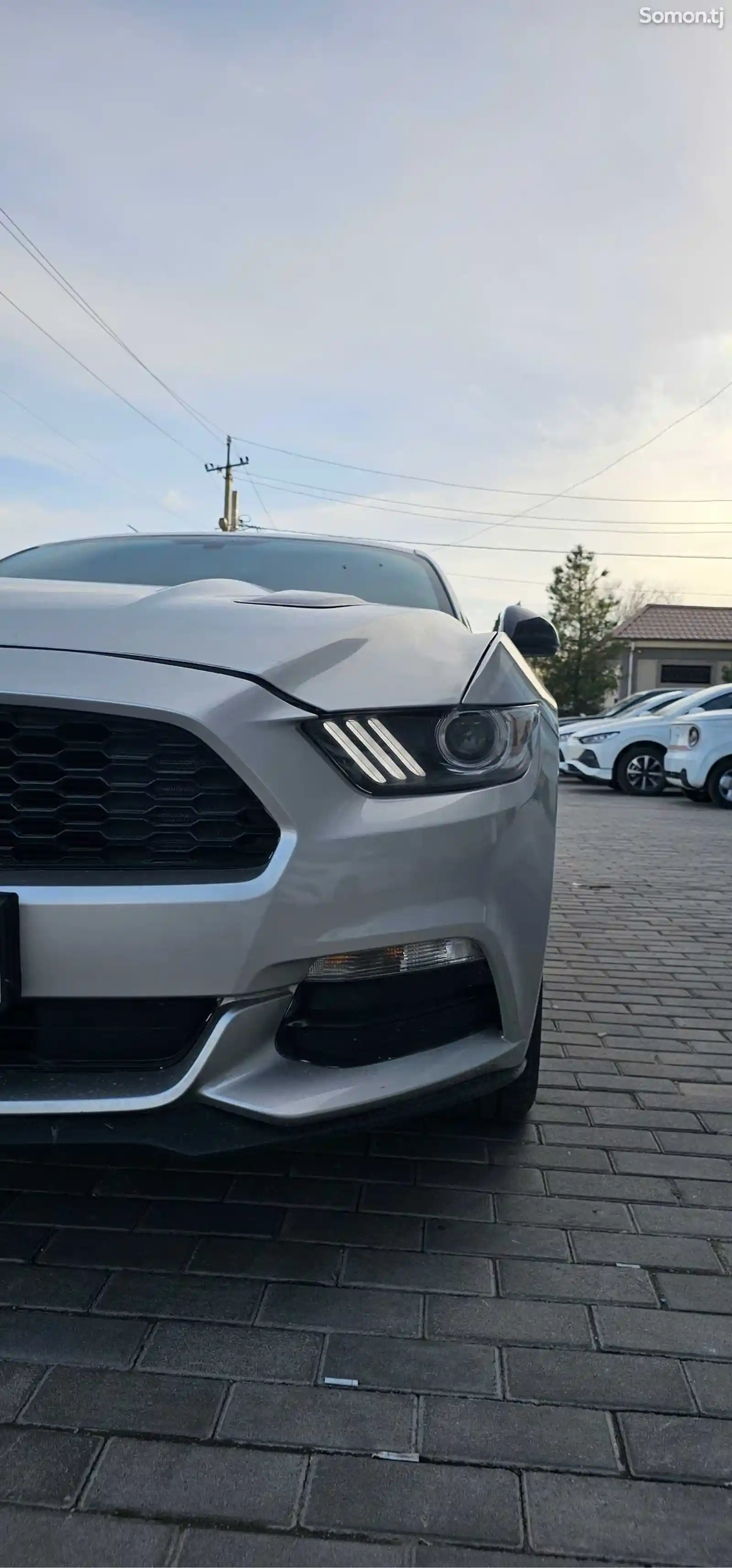 Ford Mustang, 2019-2