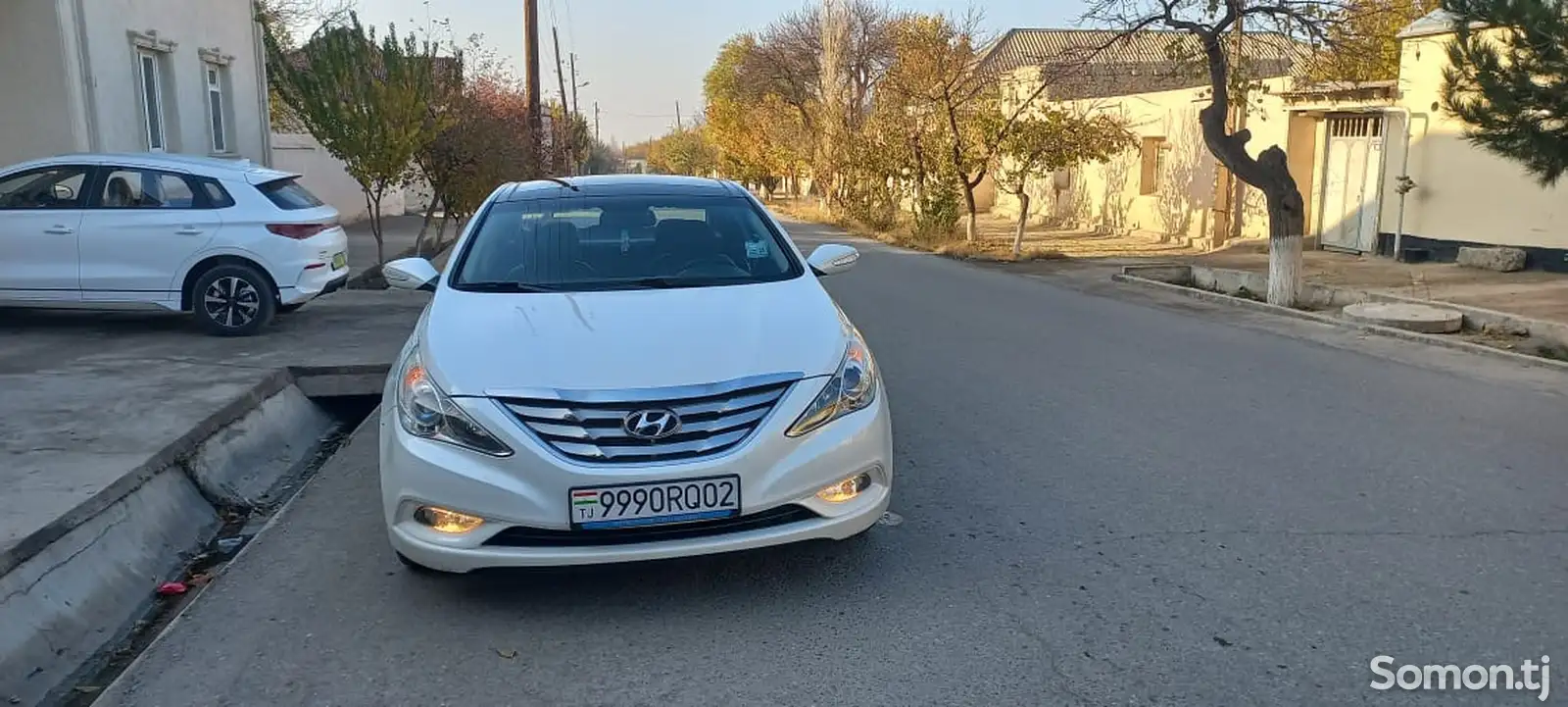 Hyundai Sonata, 2011-1