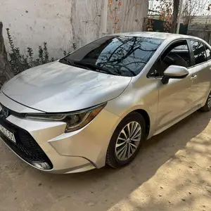 Toyota Corolla, 2021