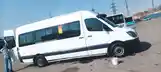 Микроавтобус Mercedes benz sprinter, 2008-4