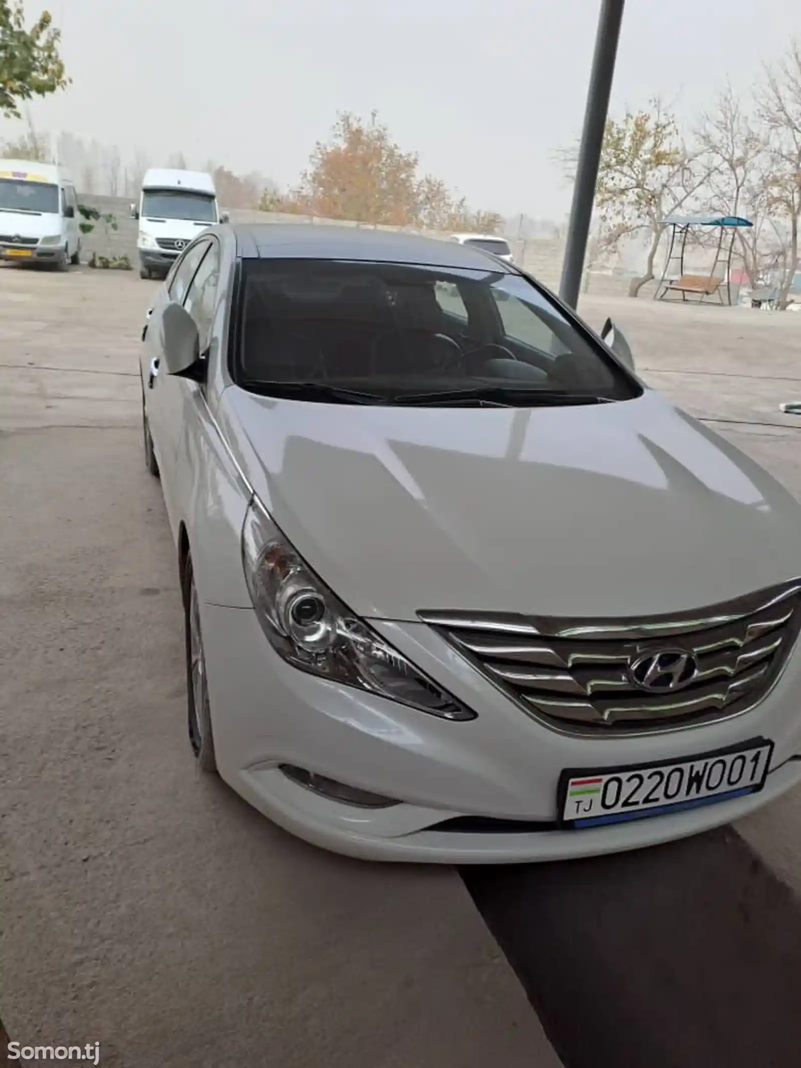 Hyundai Sonata, 2010-1