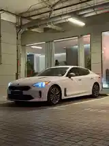 Kia Stinger, 2019-2