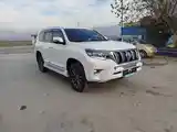 Toyota Land Cruiser Prado, 2010-8