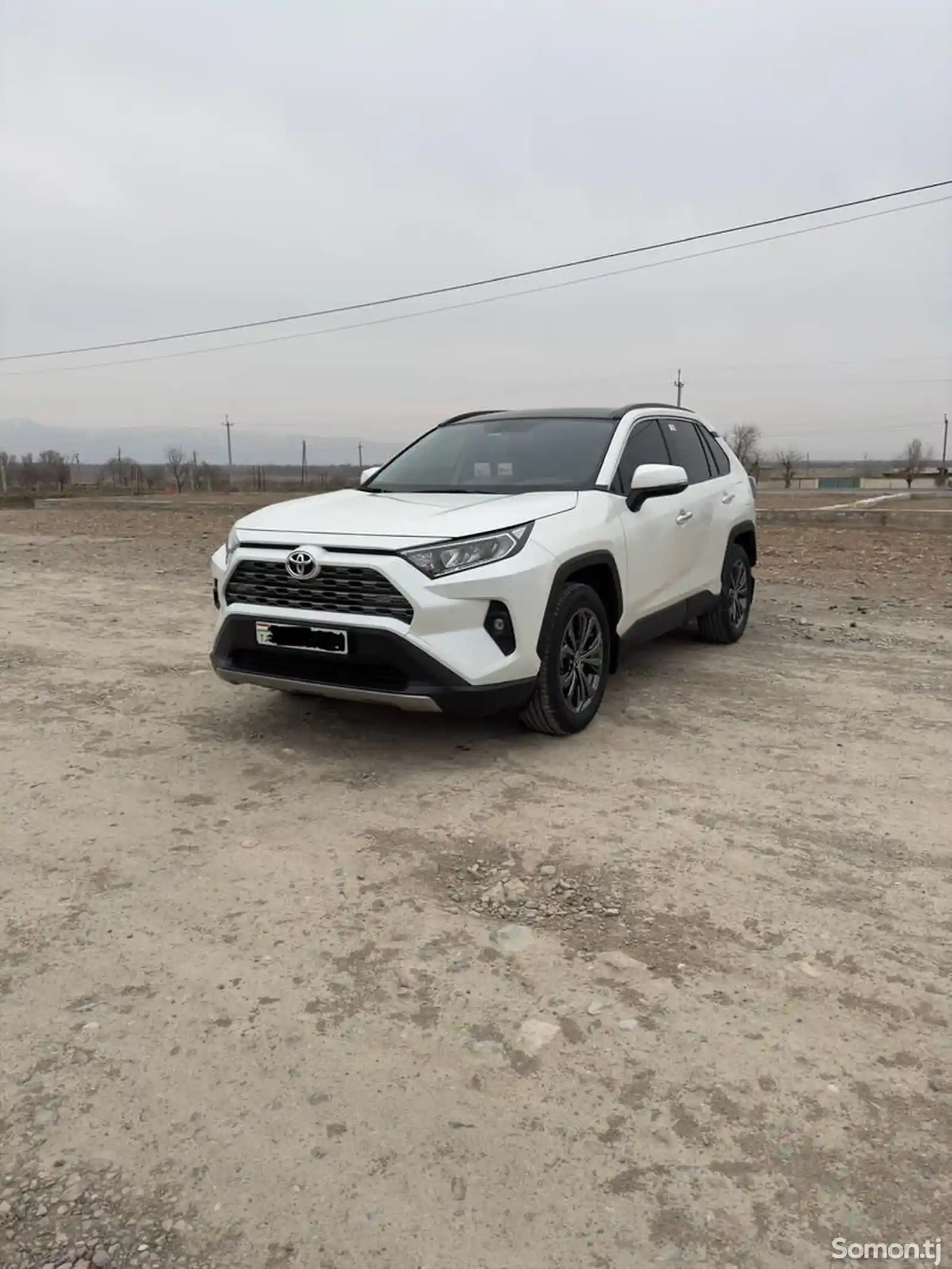 Toyota RAV 4, 2022-1