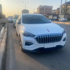 Hongqi E-HS3, 2019